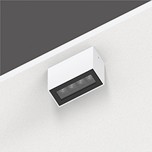 81221LED_220.jpg